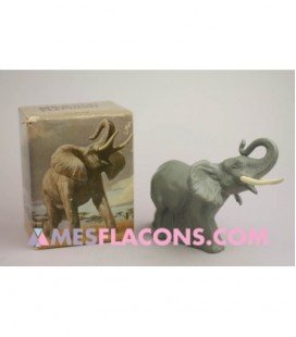 Wild country - Majestic elephant