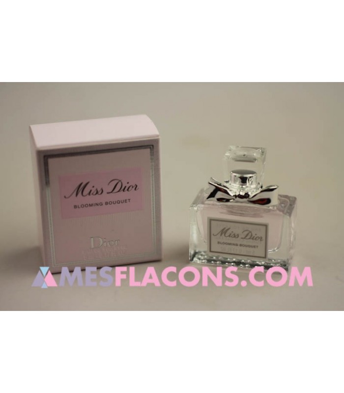 miss dior small bottle