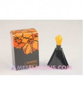 L'ambre