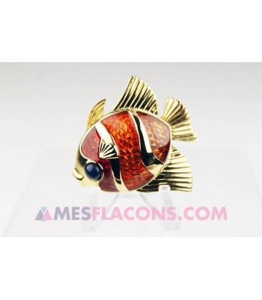 Concrète - Beautiful, Tropical fish