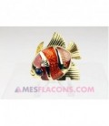 Concrète - Beautiful, Tropical fish
