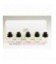 Coffret - Zara, Emotions vibrants cities discovery set