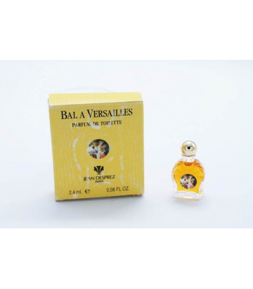 Bal à Versailles