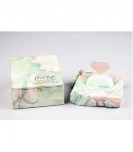 Pivoine - bonne fête