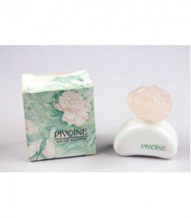 Pivoine